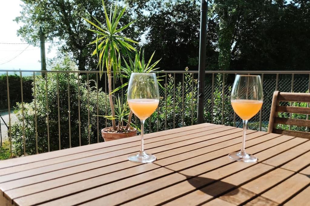Charmante Maison Avec Jardin Aux Portes Des Gorges De L'Ardeche Saint-Julien-de-Peyrolas Екстер'єр фото